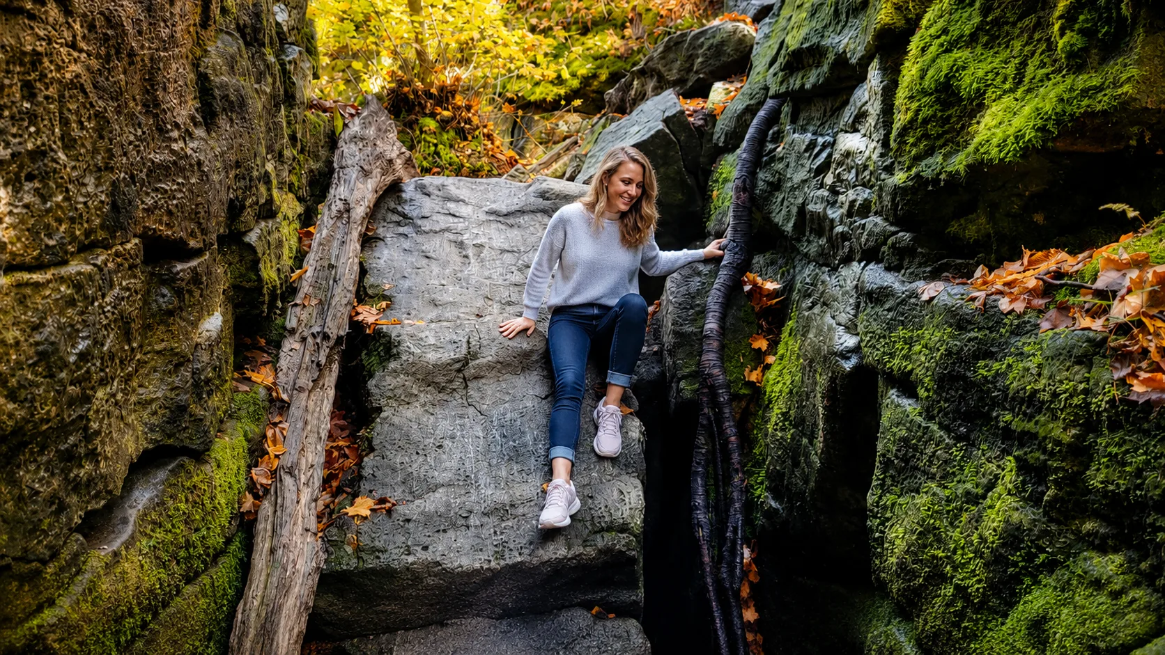 Mossy limestone crevices along the Bruce Trail near Collingwood