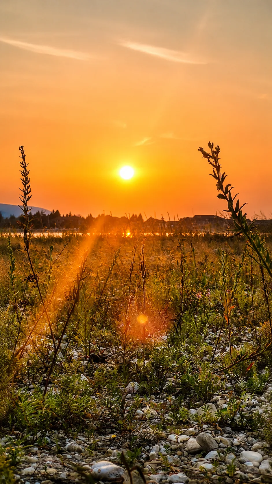 Sunset over the marsh grasses at Whites Bay